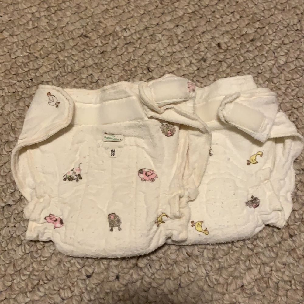 Lot of 11 Cloth Diapers - Thirsties, Swaddlebees, Totbots & Rumparooz - Picture 12 of 16